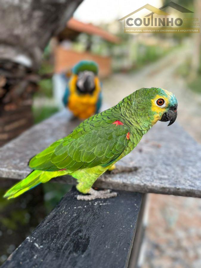 WhatsApp Image 2023-06-05 at 14.09.41 (2).jpeg